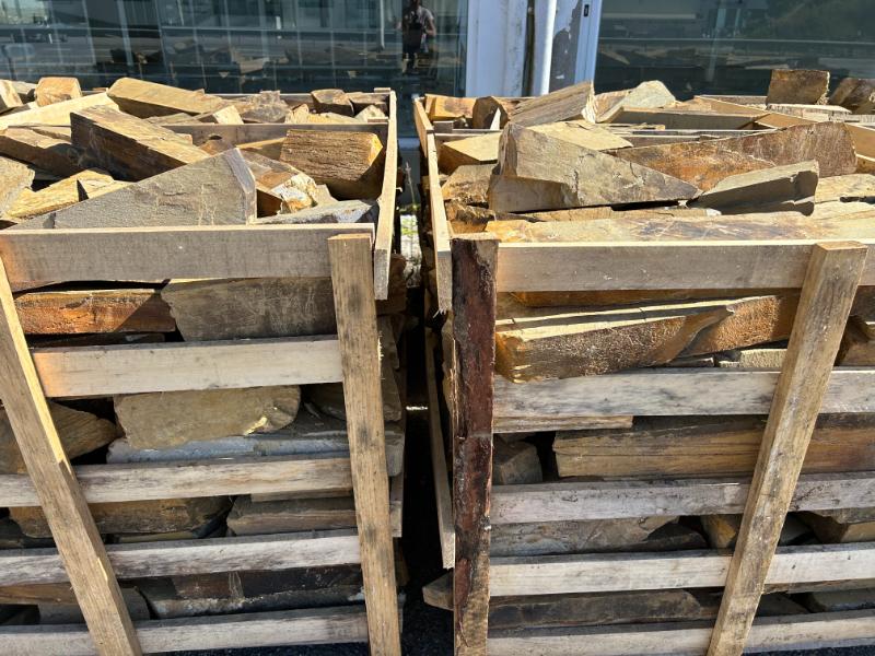 Taco filita multicolor 12