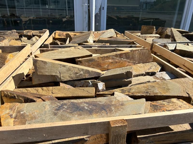 Taco filita multicolor 13