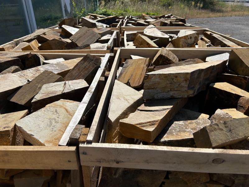 Taco filita multicolor 14